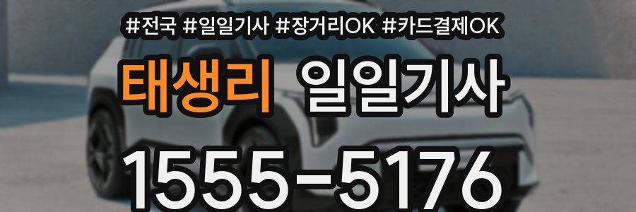 태생리 일일기사