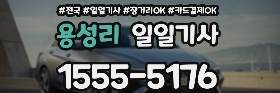 용성리 일일기사