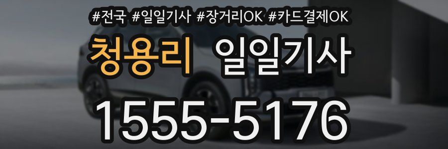 청용리 일일기사