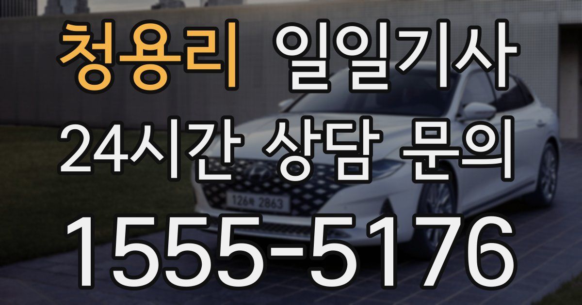 일일대리기사