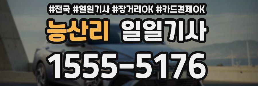 능산리 일일기사