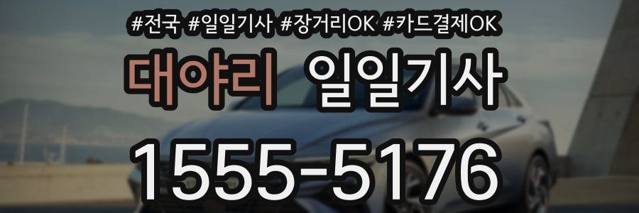 대야리 일일기사