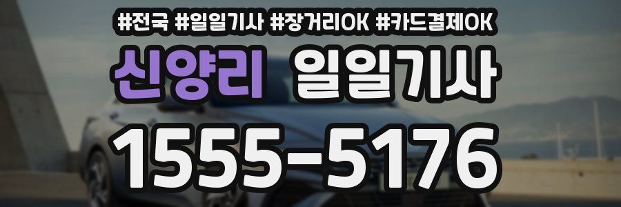 신양리 일일기사