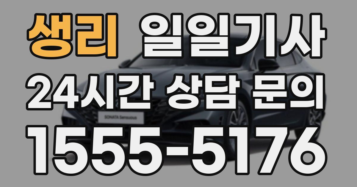 일일대리기사