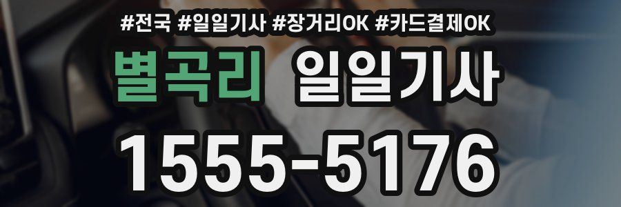 별곡리 일일기사