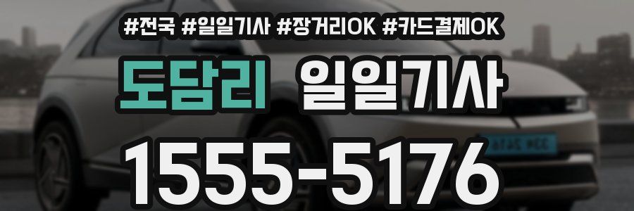 도담리 일일기사