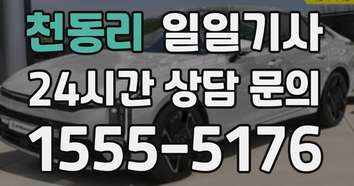 일일대리기사