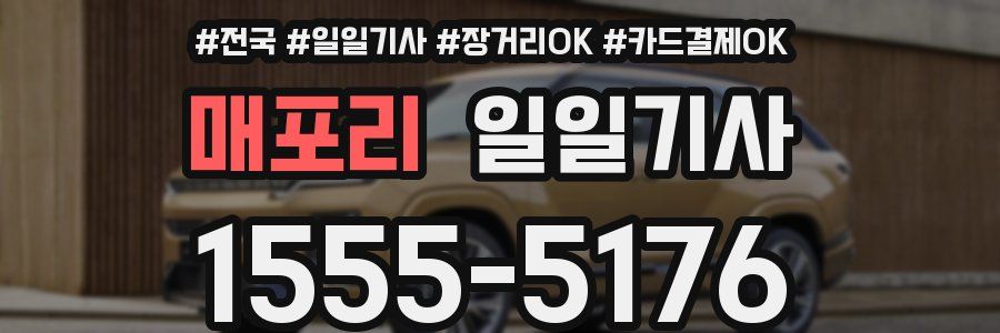 매포리 일일기사