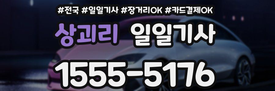 상괴리 일일기사