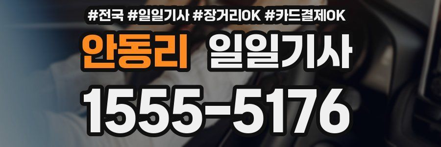 안동리 일일기사