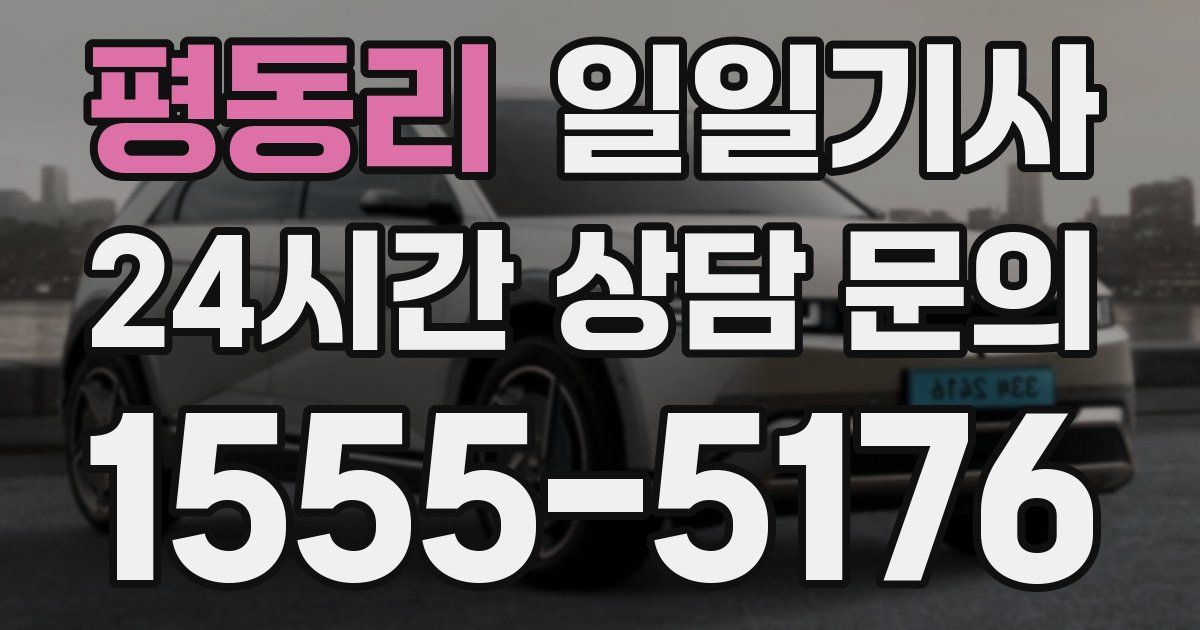 일일대리기사