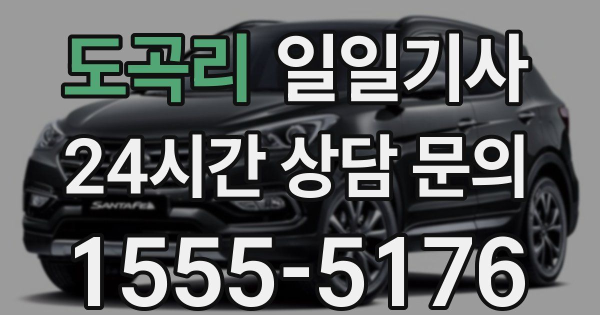 일일대리기사