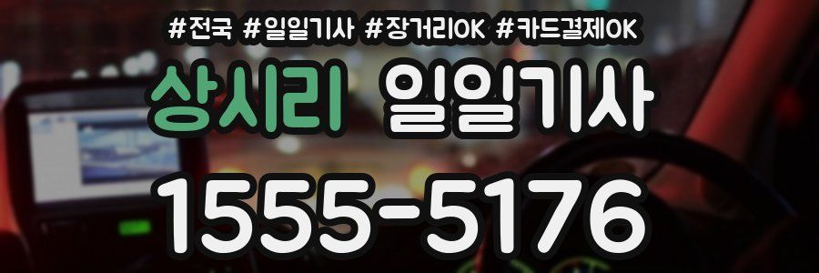 상시리 일일기사