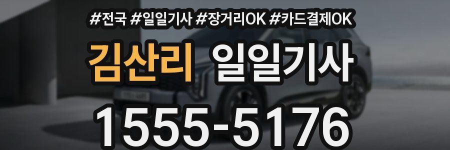 김산리 일일기사