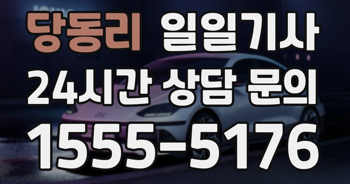 일일대리기사
