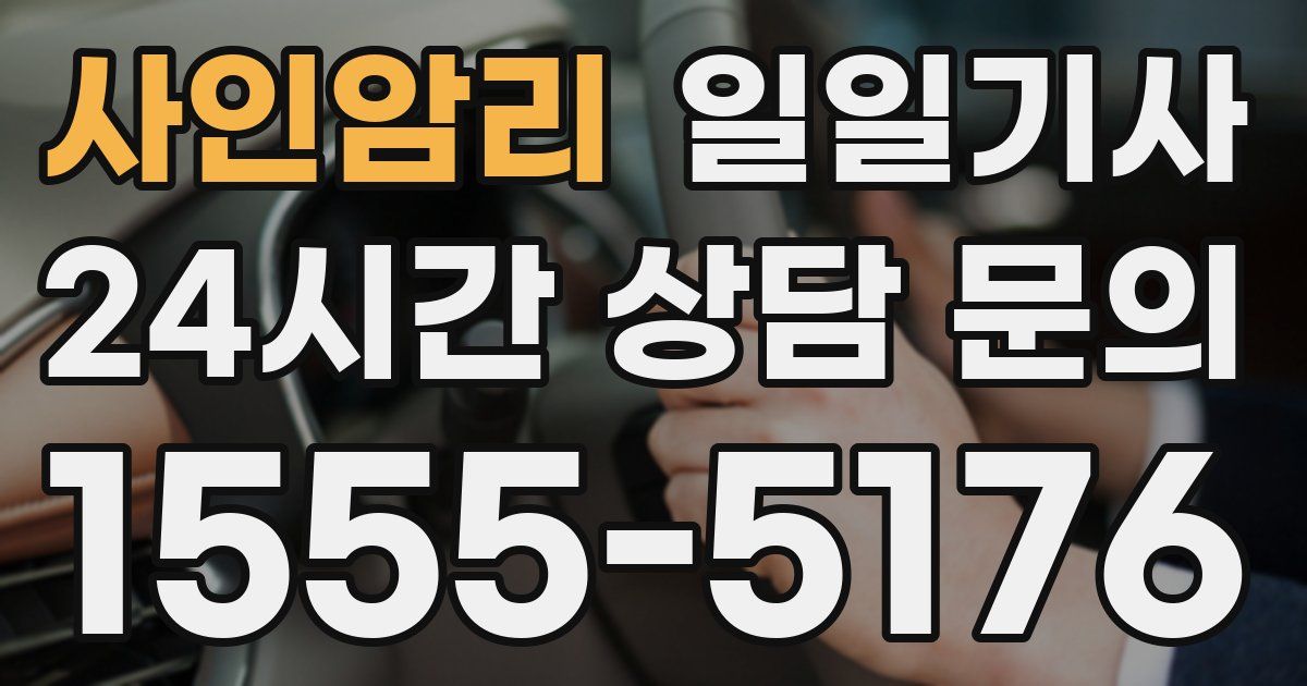 일일대리기사
