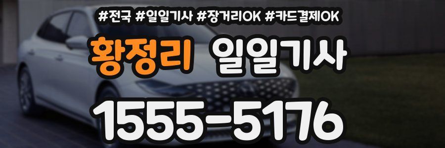 황정리 일일기사