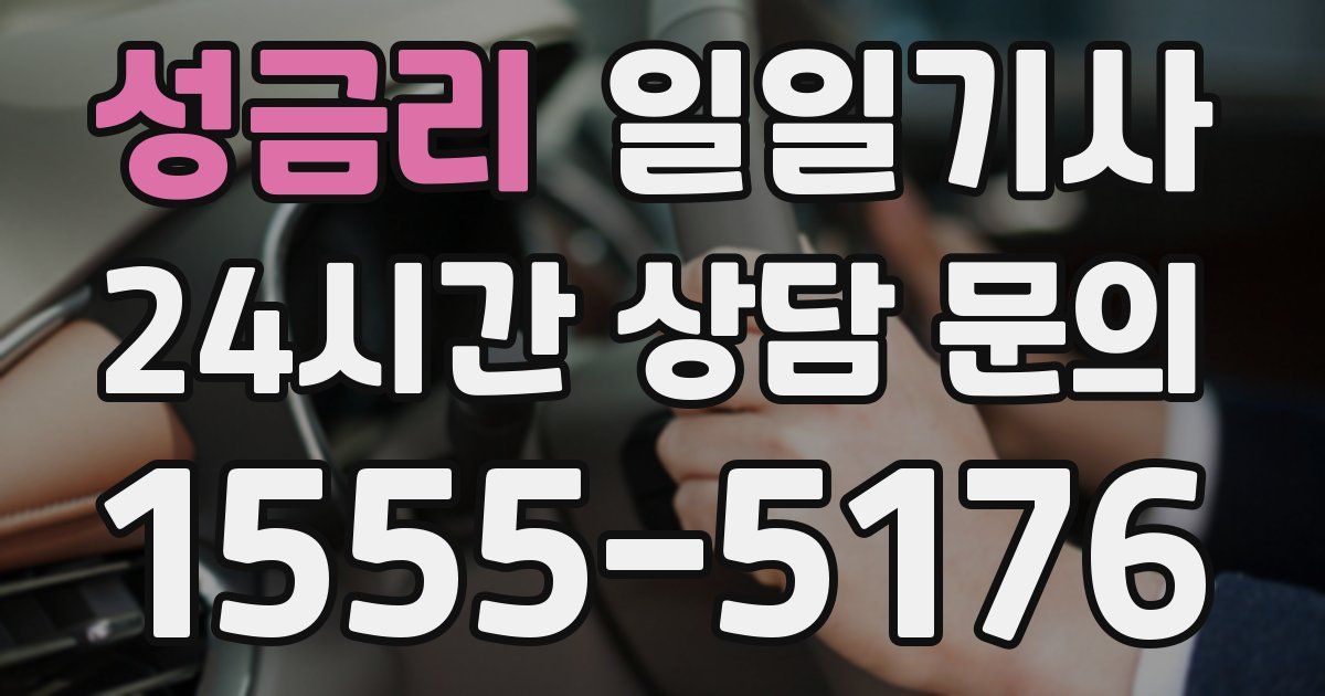 일일대리기사