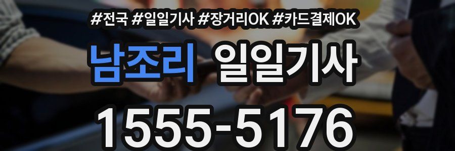 남조리 일일기사