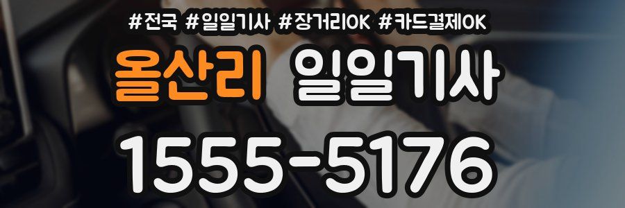 올산리 일일기사