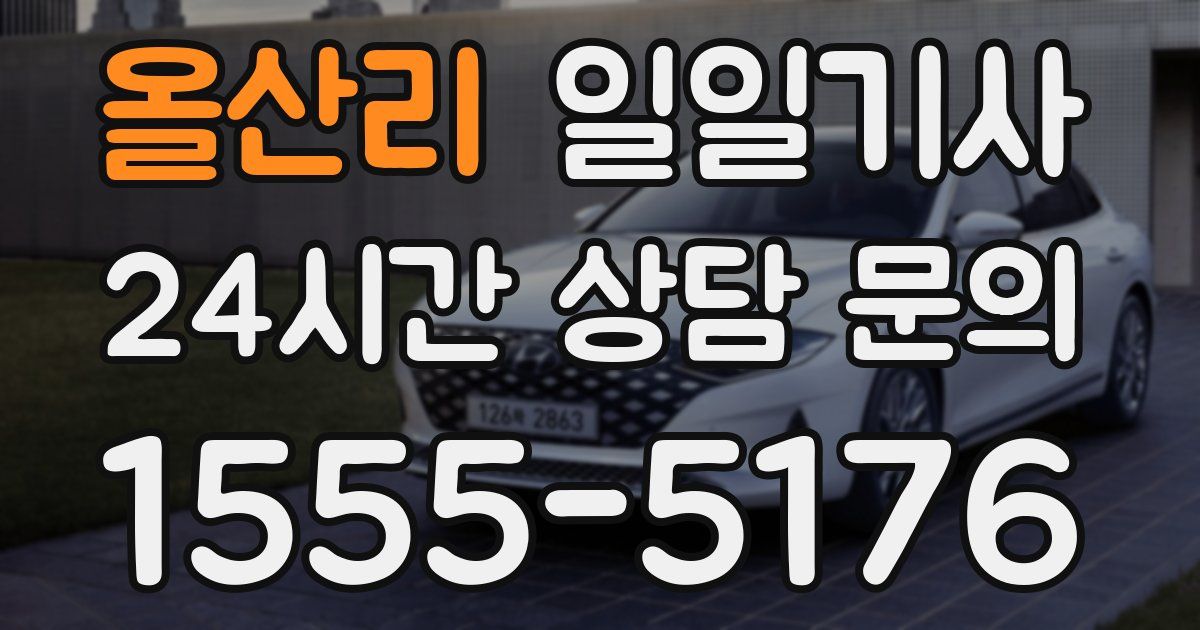 일일대리기사