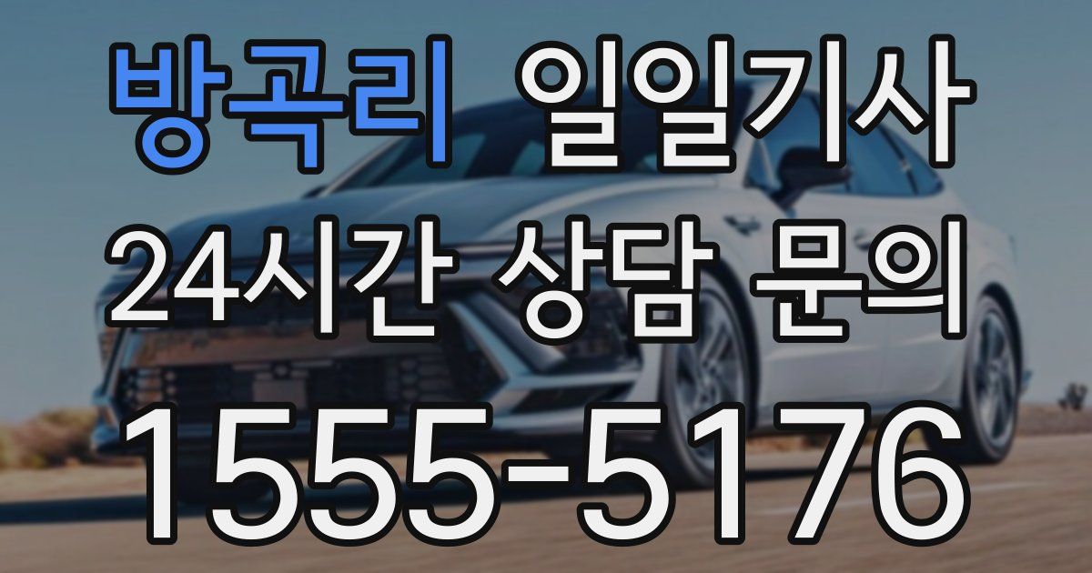 일일대리기사