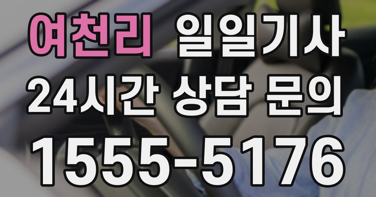 일일대리기사