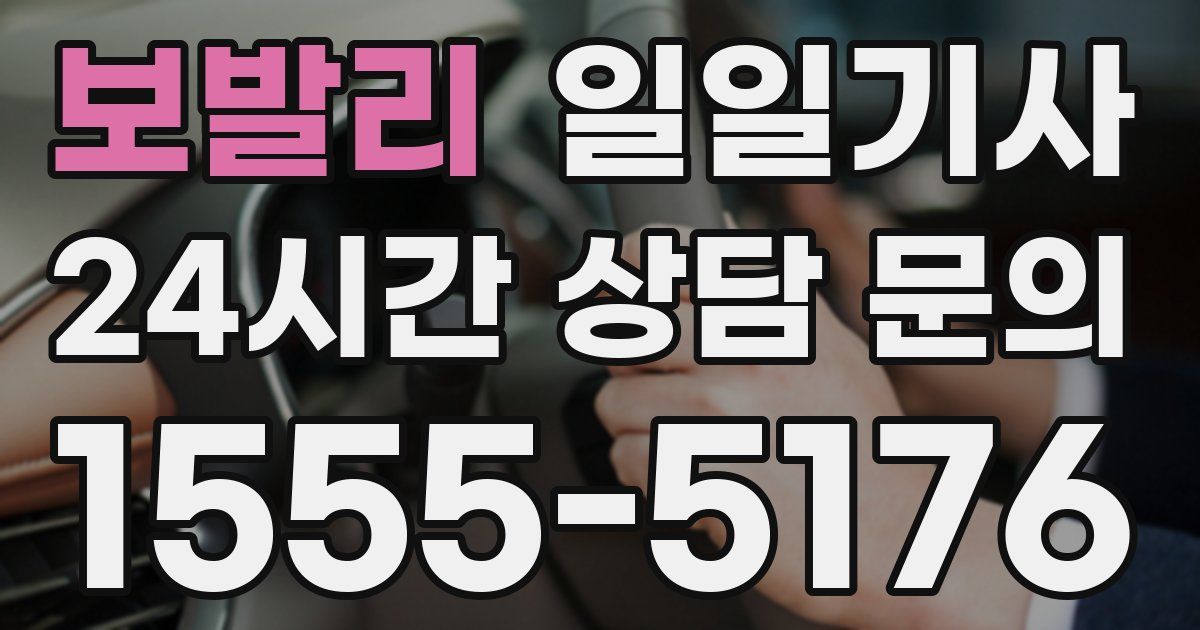 일일대리기사