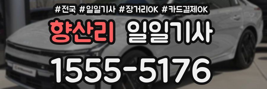 향산리 일일기사