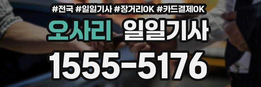 오사리 일일기사