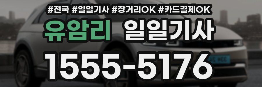 유암리 일일기사