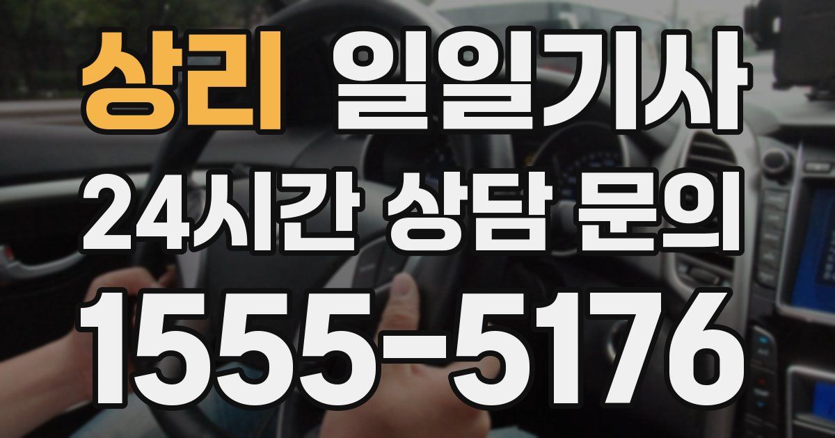 일일대리기사