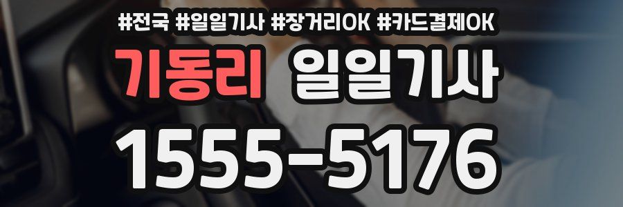 기동리 일일기사