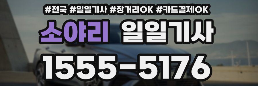 소야리 일일기사