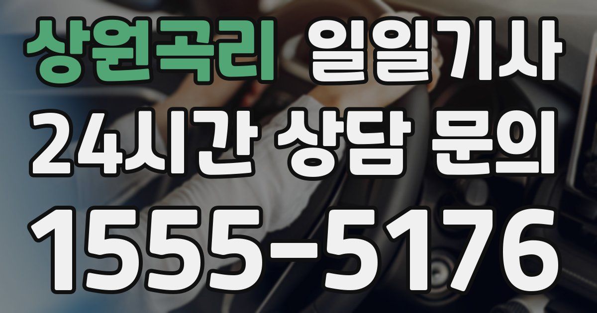 일일대리기사