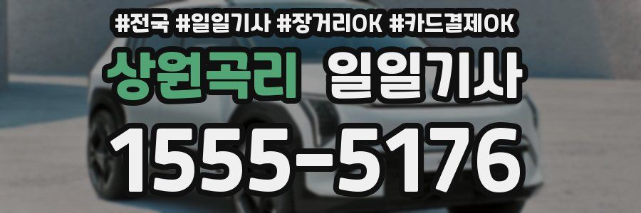 상원곡리 일일기사