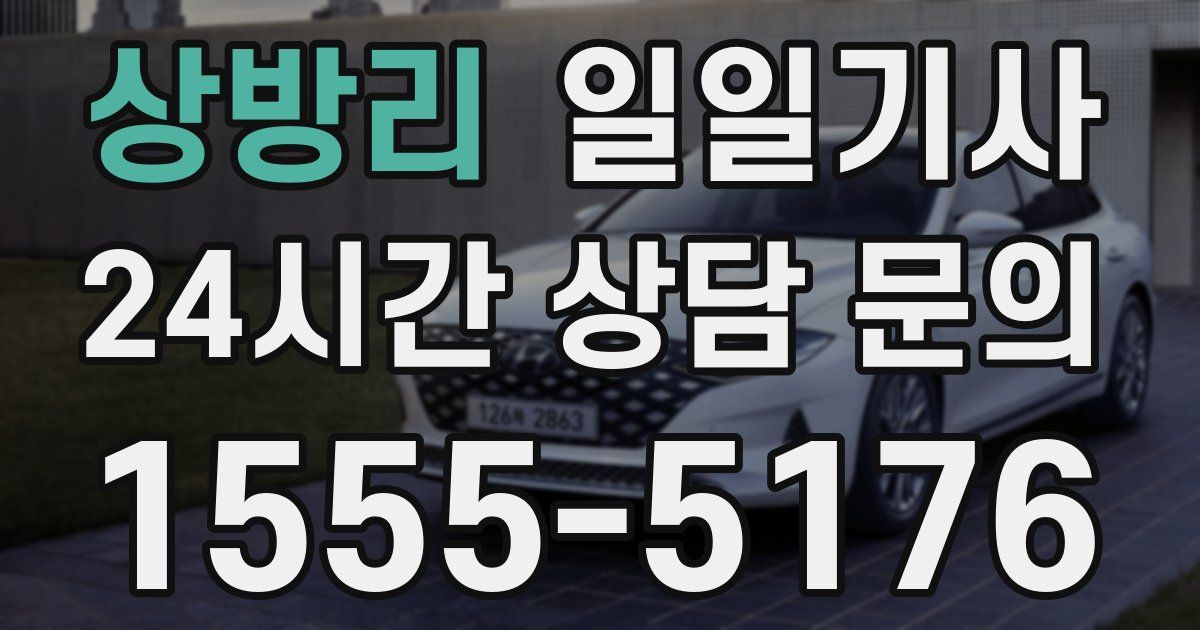 일일대리기사