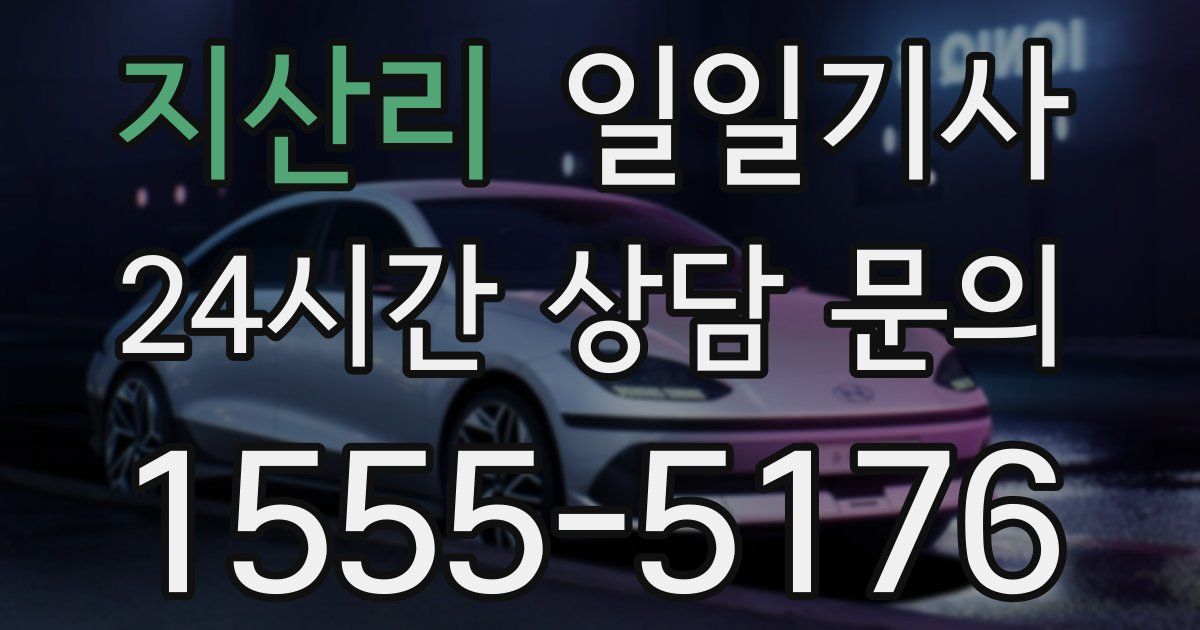 일일대리기사