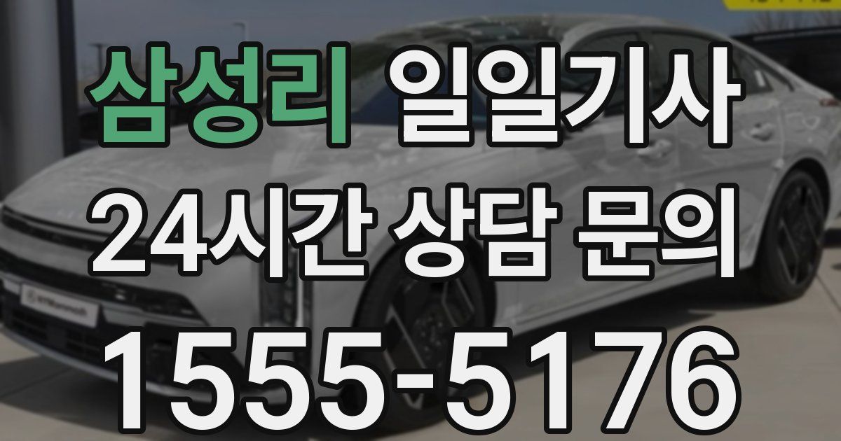 일일대리기사