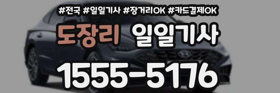 도장리 일일기사