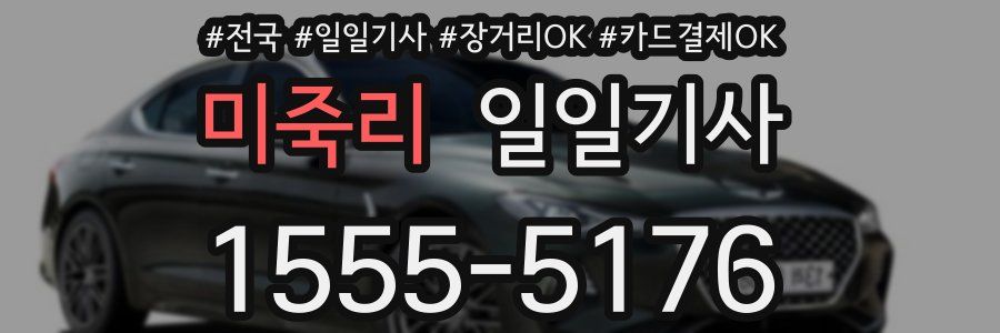 미죽리 일일기사