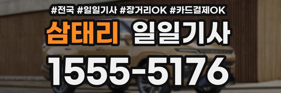 삼태리 일일기사