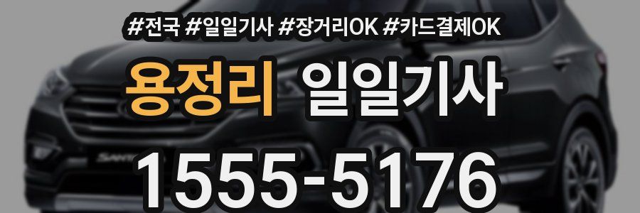 용정리 일일기사