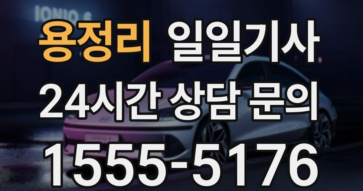 일일대리기사