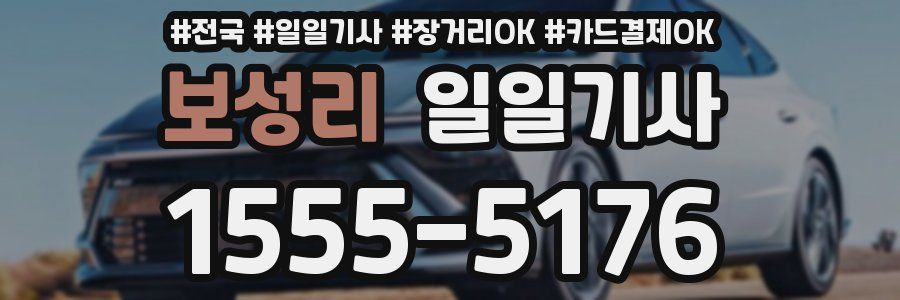 보성리 일일기사