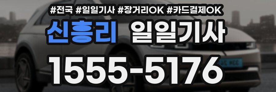 신흥리 일일기사