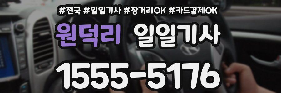 원덕리 일일기사