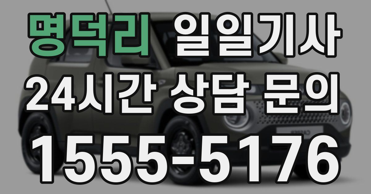 일일대리기사