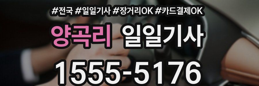 양곡리 일일기사