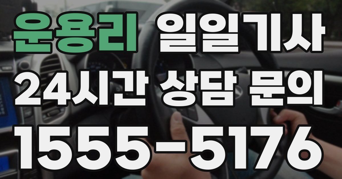 일일대리기사